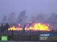Из-за лесных пожаров в Амурской области введен режим ЧС