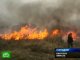 2008 год может стать рекордным по количеству лесных пожаров