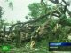Тропический циклон «Наргис» обрушился на Мьянму