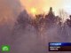 Удвоилось число лесных пожаров в Иркутской области