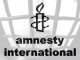 Правозащитная организация Amnesty International потребует от Медведева подтверждения соблюдения прав человека