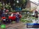 Львовская область пострадала от сильнейшего урагана