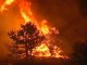 Ликвидирован лесной пожар в Цимлянском районе