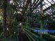 В ботаническом саду Ростова высаживают редкие растения