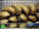 В Киеве в два раза выросли цены на хлеб