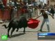 Бег с быками в Мексике окончился ранениями двух десятков человек