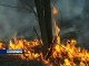 Пожар в сосновом лесу Белокалитвенского района