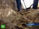 В Луганской области археологи спасают курганы