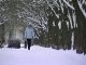 Новогодние праздники Ростовская область проведет в снежном убранстве