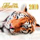 Новый год 2010 - год железного тигра
