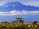 Толкование терминов (К). Килиманджаро