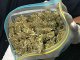 Белокалитвинские наркополицейские изъяли более 3 кг. марихуаны