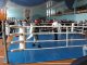 Соревнования по контактному каратэ прошли во дворце спорта