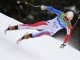 На Олимпиаде перенесены соревнования горнолыжников