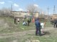 Озелениением занимаются школьники. Фото калитва.ру
