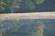 Утренняя река Калитва августовским утром. Фото Калитва.ру