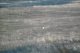 Одинокая утка на реке Калитва. Фото Калитва.ру