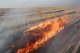 В Ростовской области степные пожары