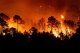Почему горят леса и гибнут люди