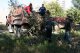 Вывоз мусора самосвалом сотрудниками ЗАО Алкоа Металлург Рус.Фото пресс-службы ЗАО АМР