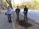 Участники экологической акции сажают деревья на ул. Театральной