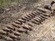 В Мясниковском районе найдены 20 снарядов времен Великой Отечественной войны