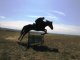 Через препятствие на лошади. Фото калитва.ру