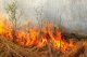 В Ростовской области сгорело более пяти тонн «травы»