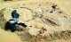 В чилийской пустыне обнаружены залежи китовых скелетов