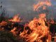 Ландшафтные пожары угрожают Белокалитвинскому району