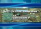 Белокалитвинская панорама выпуск 17 мая 2012 года видео
