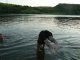летнеее купание радость - но правила надо соблюдать