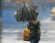 Грозовые дожди и сильный ветер в Ростовской области продлятся до выходных