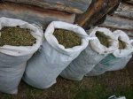 Житель Ростовской области хранил дома пять мешков марихуанны