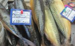 «Правозащитник» проводит проверки продуктовых магазинов: На что обращать внимание при покупке рыбы