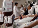 Донорство крови должно быть нормальной практикой социальной активности человека