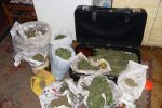 Наркополицейские Волгограда с начала года изъяли больше 70 кило наркотиков