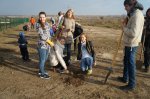 Молодежная организация "Молодая Калитва" высадили деревья в детском саду