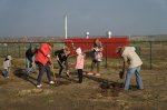 Молодежная организация "Молодая Калитва" высадили деревья в детском саду