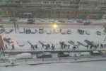 В Волгограде из-за непогоды отменили занятия для школьников 1-4 классов