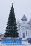 Искусственные елки пришли на замену живым на площадях Белой Калитвы