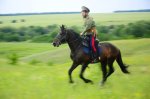 12 апреля музей-заповедник М.А. Шолохова проведет праздник "Конь казаку всего дороже"