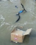 В Ростове ребенок на велосипеде провалился в метровую яму с водой