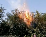 Из-за жары в Ростове начали гореть деревья и искрить провода