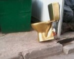 Золотой унитаз выбросили на мусорку в Ростове-на-Дону