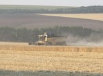 Завершена уборка ранних зерновых в Белокалитвинском районе