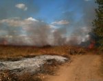 В районе ростовского Ботанического сада горела сухая трава