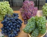 Фестиваль виноградарства «Донская лоза» посетят восемь тысяч человек
