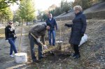 Белокалитвинцы приняли участие в Дне древонасаждений