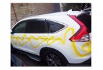40 авто разрисовали краской вандалы в Ростове